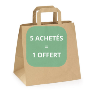 SAC KRAFT 70GR - L22 × L10 × H28 cm