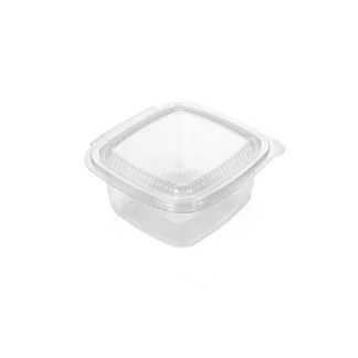 BARQUETTES PET "FRAICHEUR" CARRES A CHARNIERE - 500GR